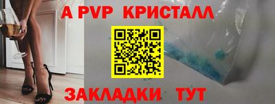 гашик Донецк