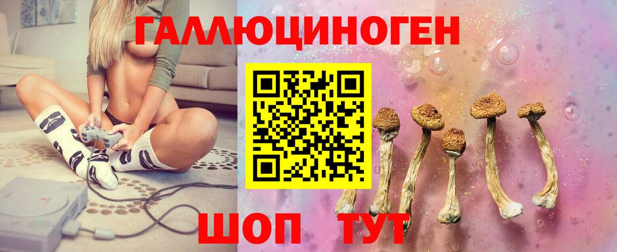 A-PVP Котовск