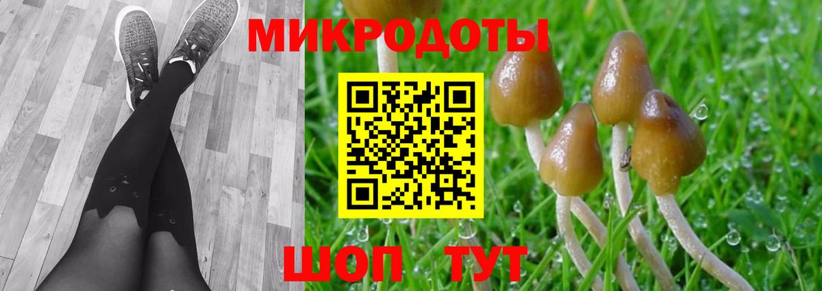 Котовск  Псилоцибиновые грибы Magic Shrooms  Вход с VPN  Псилоцибиновые грибы прущие грибы 